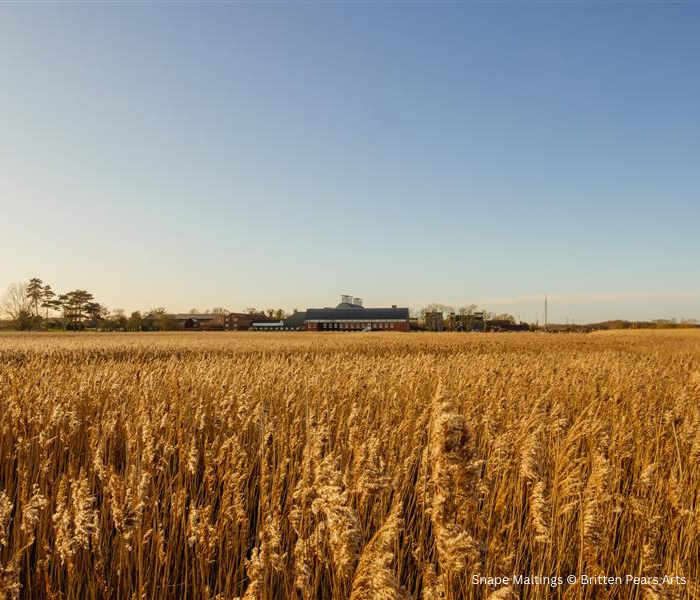 Sworders Returns to Snape! | Art & Antiques Valuation Day